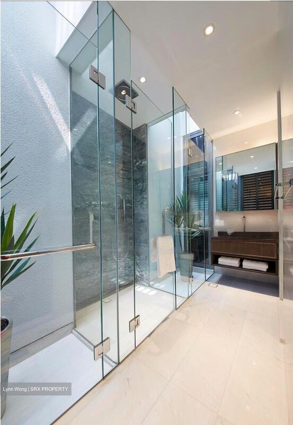 Goodwood Grand (D10), Apartment #501282371